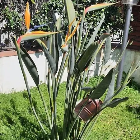 La Casa Di Barry *